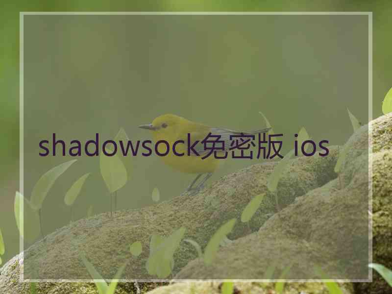 shadowsock免密版 ios