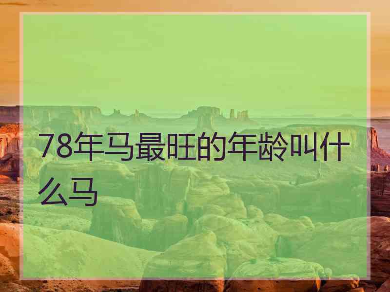 78年马最旺的年龄叫什么马