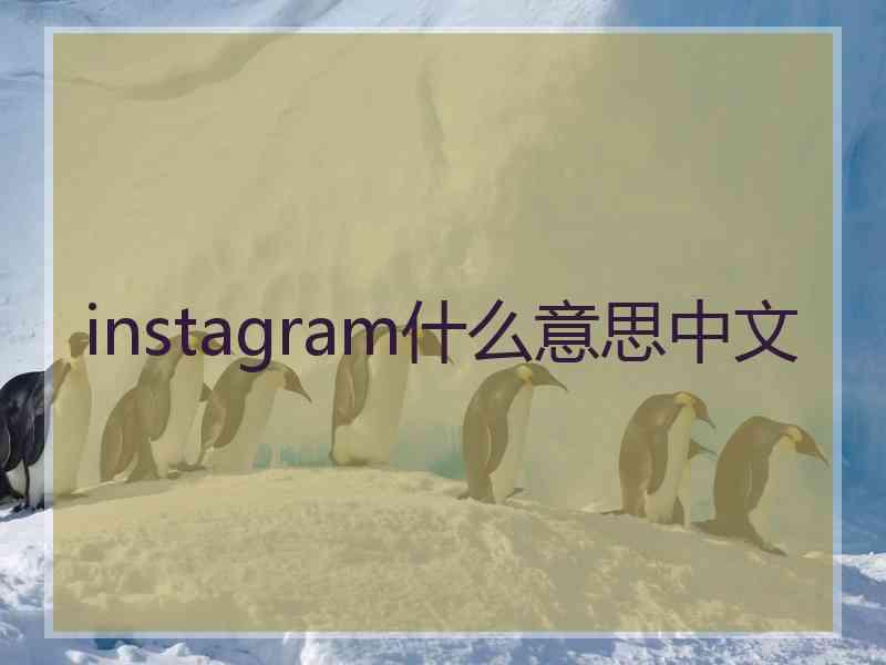 instagram什么意思中文