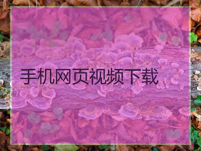 手机网页视频下载