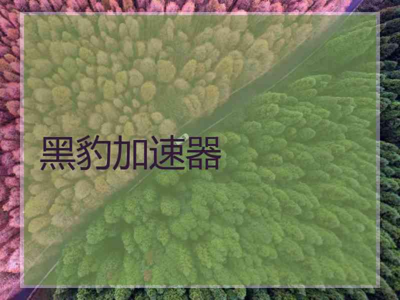 黑豹加速器