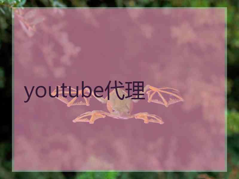 youtube代理