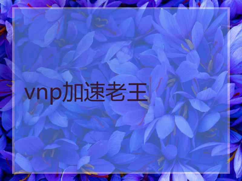 vnp加速老王