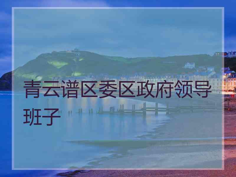 青云谱区委区政府领导班子