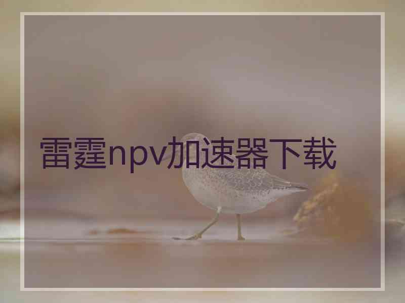 雷霆npv加速器下载