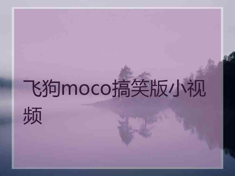 飞狗moco搞笑版小视频