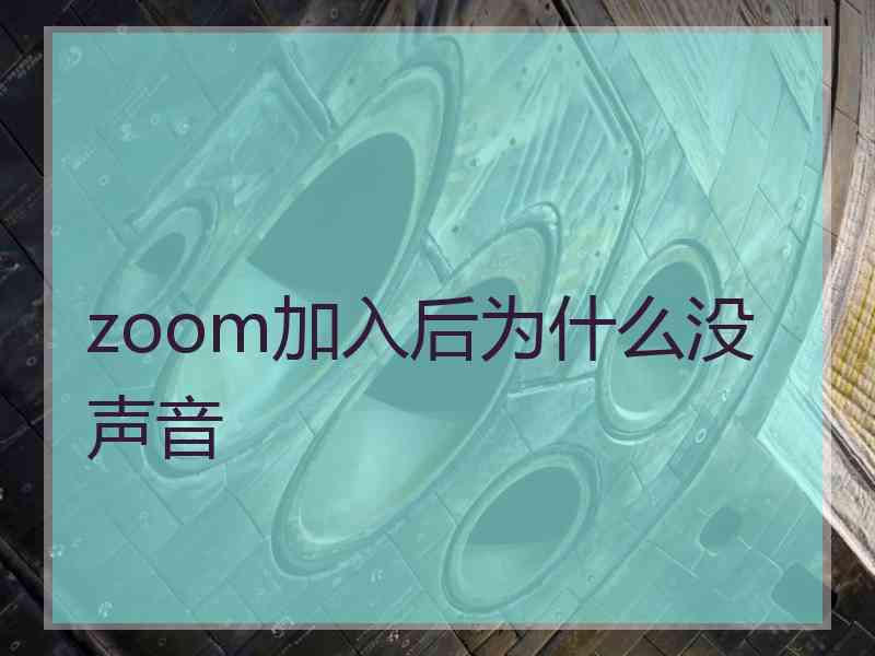 zoom加入后为什么没声音