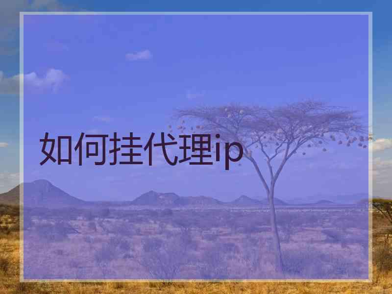 如何挂代理ip